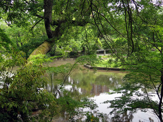 20160515_224725_1442.jpg