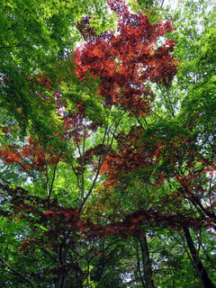 20160515_224725_1551.jpg