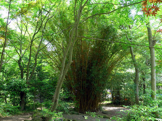 20160515_224725_1552.jpg