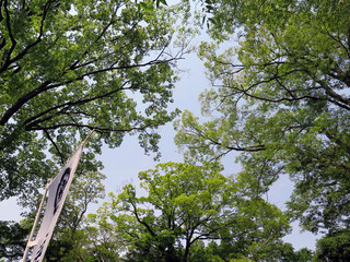 20160515_224725_1569.jpg