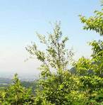 CliMt20070616_224009.jpg