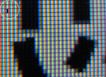 DSLITEDOTSKAKE20061029_0021.jpg