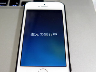 IMG20131103_233219_6411.jpg