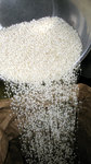 MOTIGOMEFALL20071228_202716.jpg