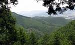 MtHONG20060916_211408.jpg