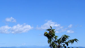 Scenary20061008_203834.jpg