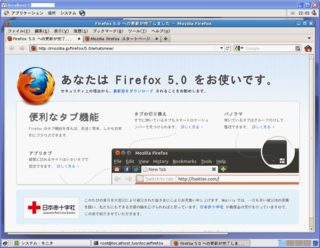 VPS_FIrefox5_2011-07-26_221244.png