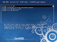 kernelBuildFinishSudoMakeInstall_GRUB20091119.png