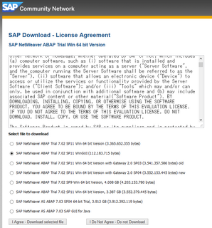 sapscn2013-06-25_222350.png