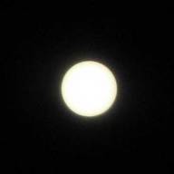 sun_vixen_20090712.jpg